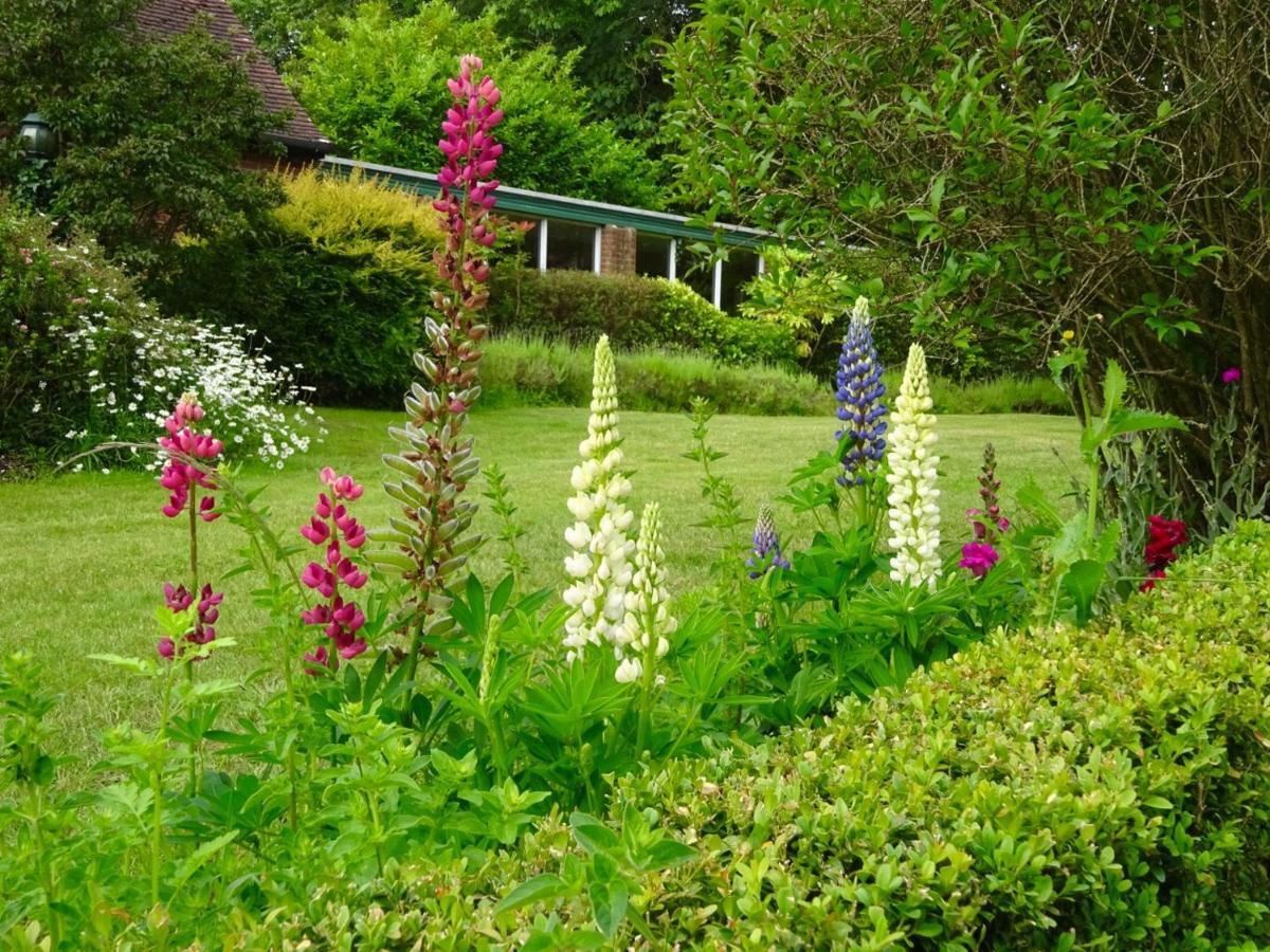 Passford House Hotel Lymington Εξωτερικό φωτογραφία