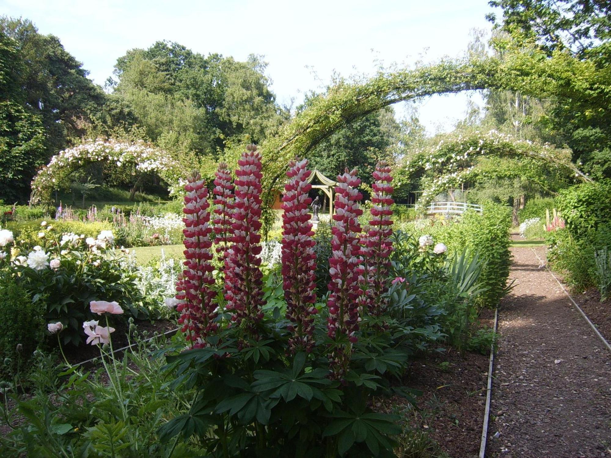 Passford House Hotel Lymington Εξωτερικό φωτογραφία